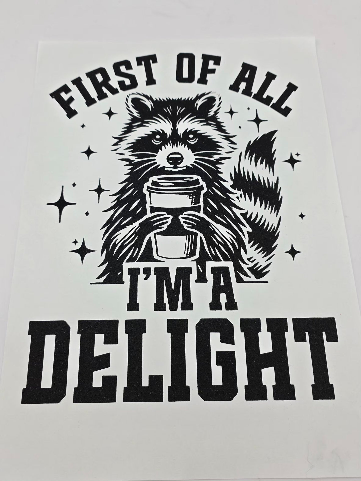 Racoon shirt design