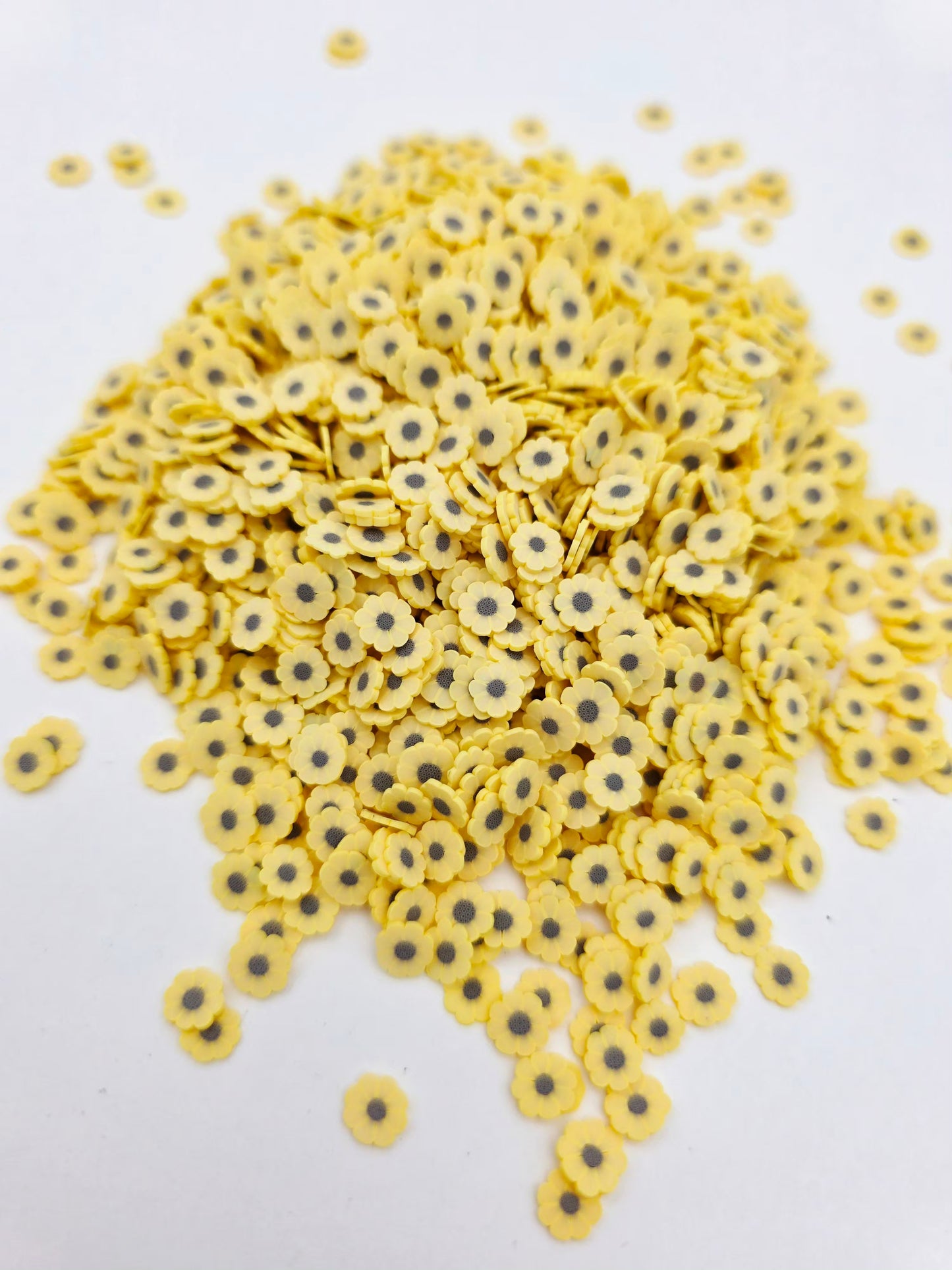 Sunflower Clay slices