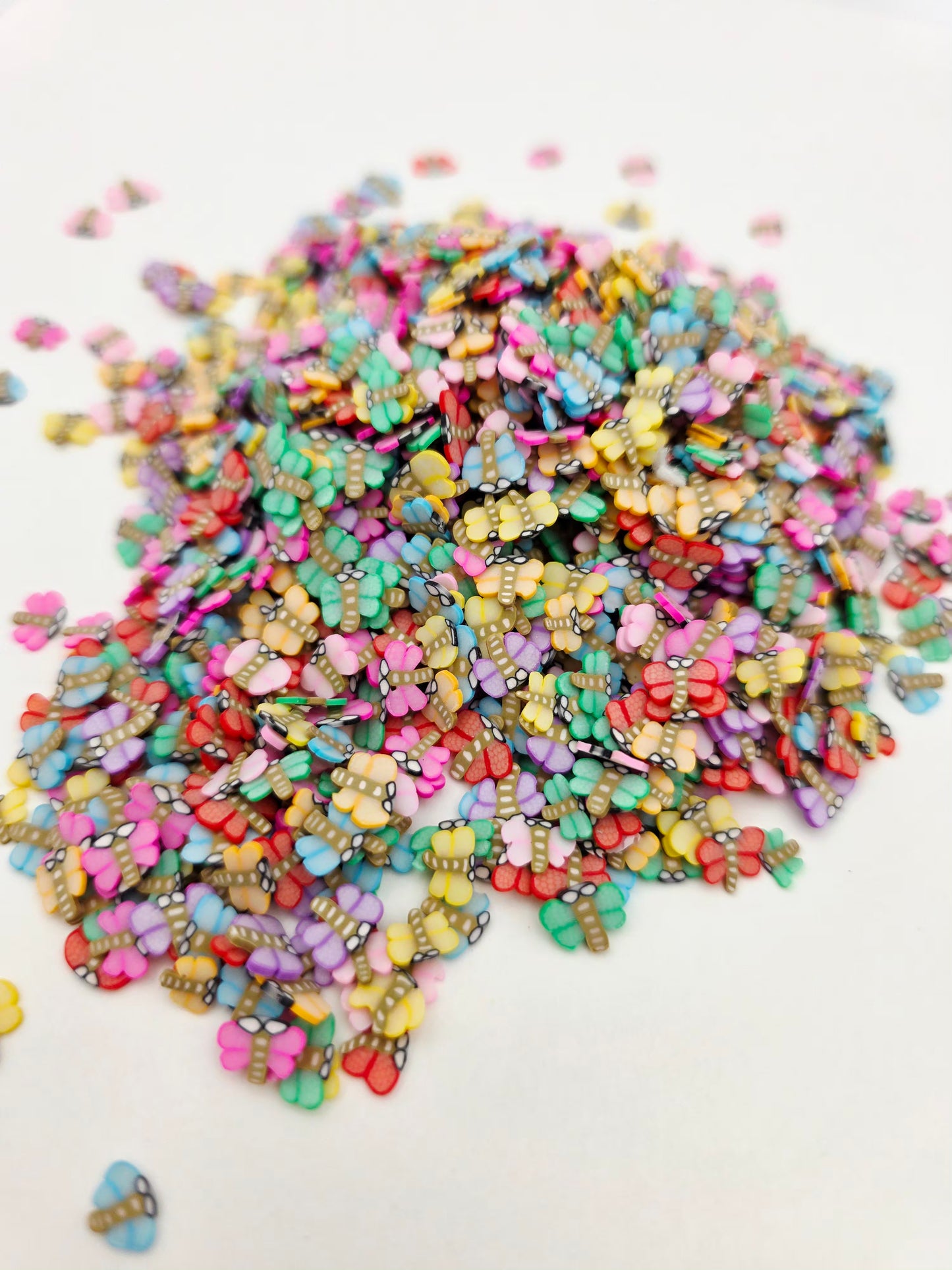 Dragon fly Clay slices