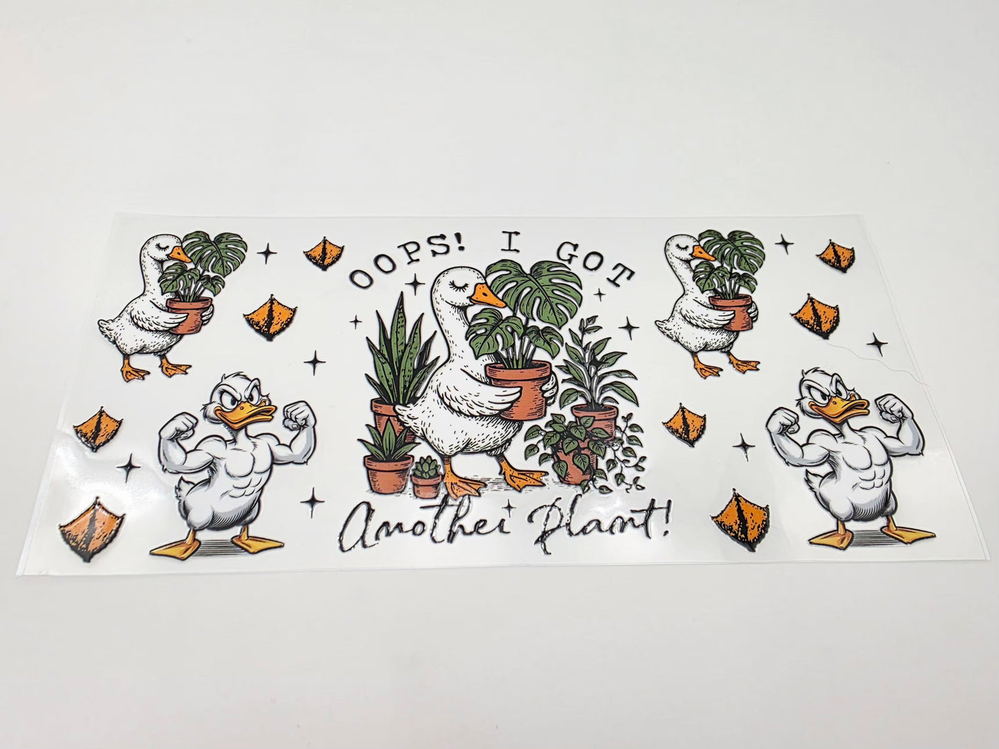 C171- Cup Wrap