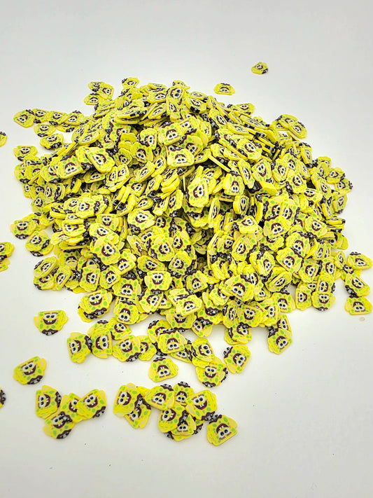 Sponge b Clay slices